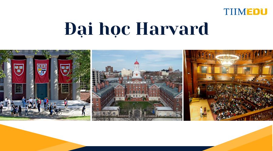 Đại học Harvard