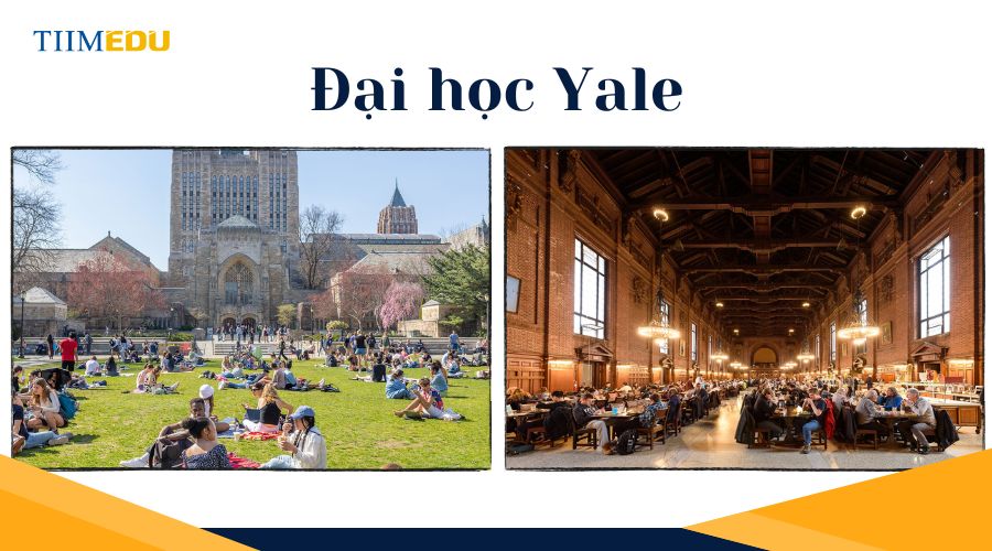 Đại học Yale