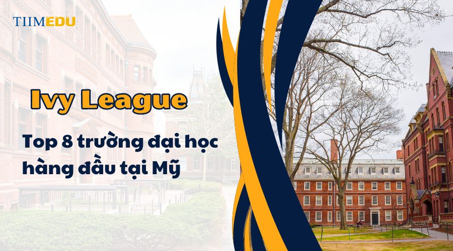 Các trường nào thuộc Ivy League?