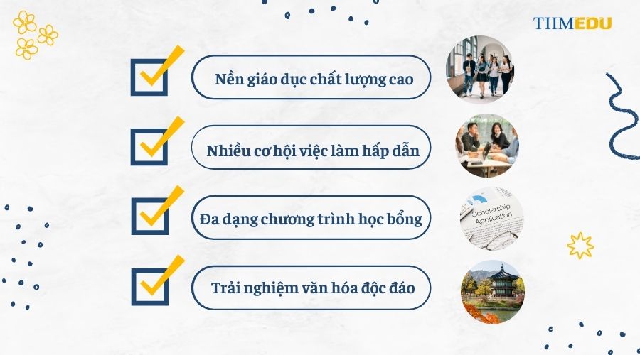 Có nên du học hàn quốc không