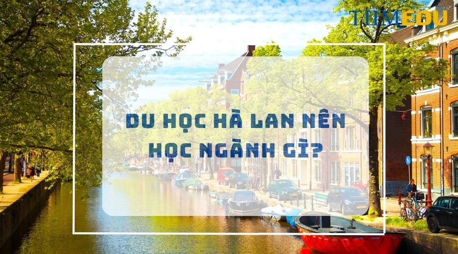 Du học Hà Lan nên học ngành gì?