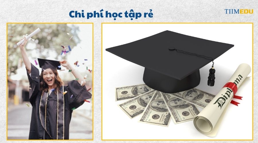 Ưu điểm của Diploma là gì?