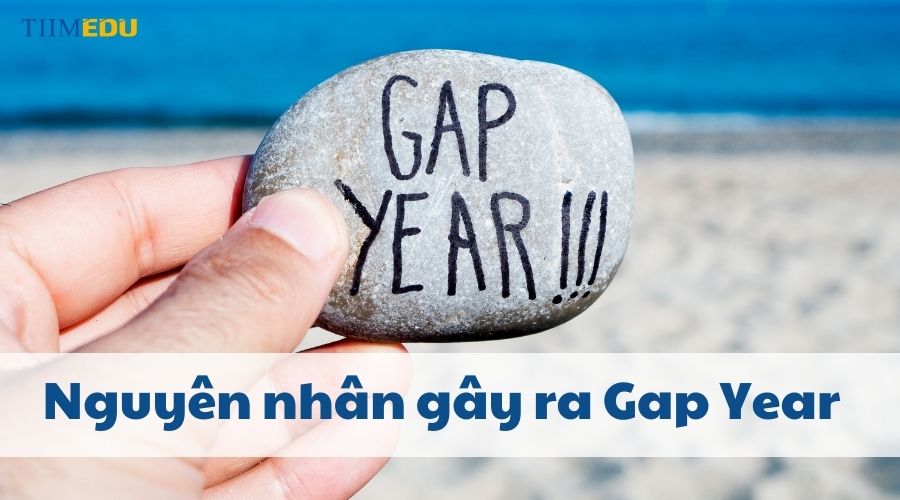 Nguyên nhân gây ra Gap Year là gì?