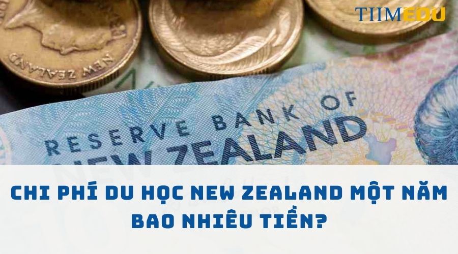 Chi phí du học New Zealand một năm bao nhiêu tiền?