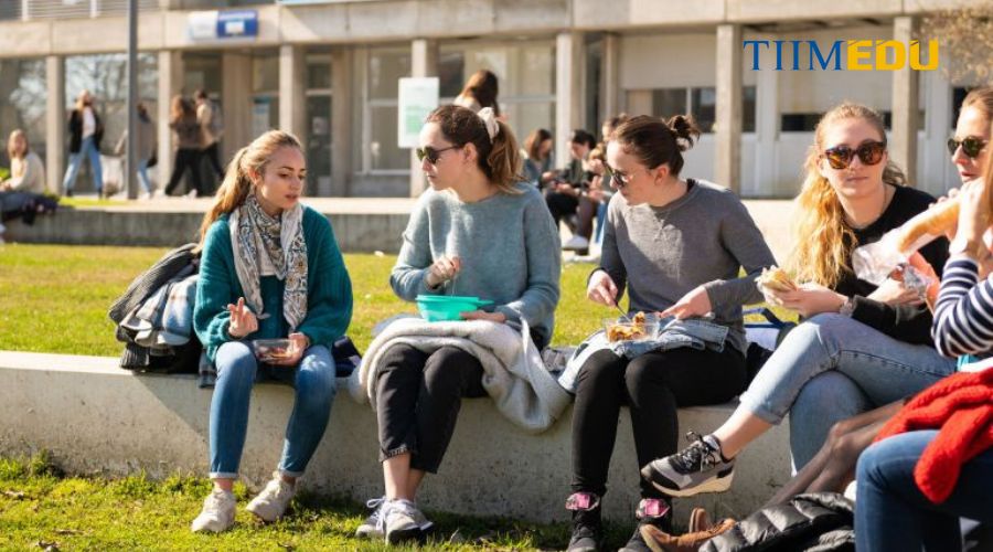 Chương trình đào tạo trường đại học Bordeaux