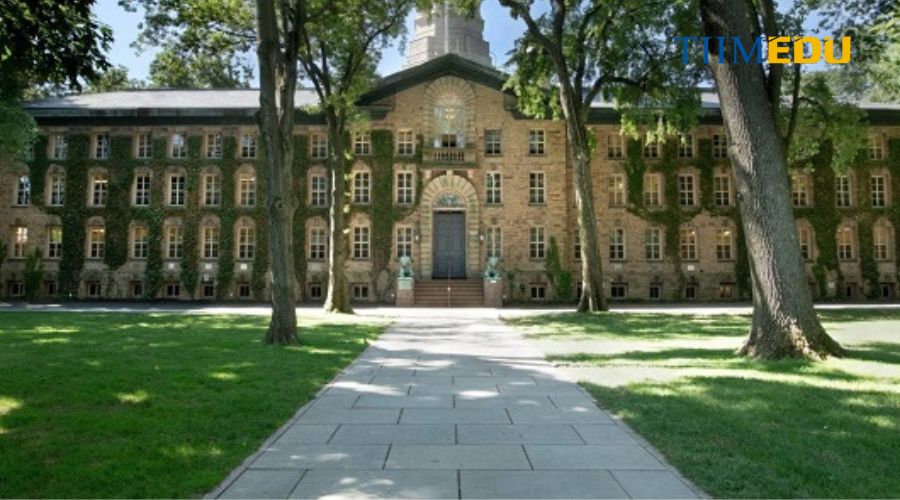 Khuôn viên trường đại học Princeton