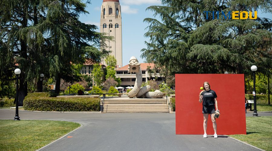 Cơ hội việc làm sau tốt nghiệp tại trường đại học Stanford