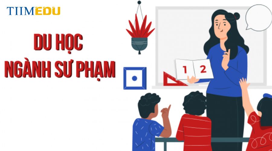 Học sư phạm có đi du học được không?