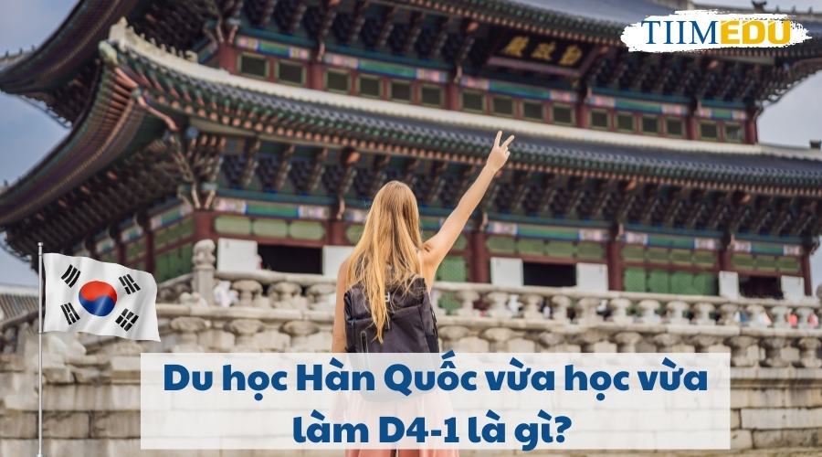 Du học Hàn Quốc vừa học vừa làm D4-1 là gì?