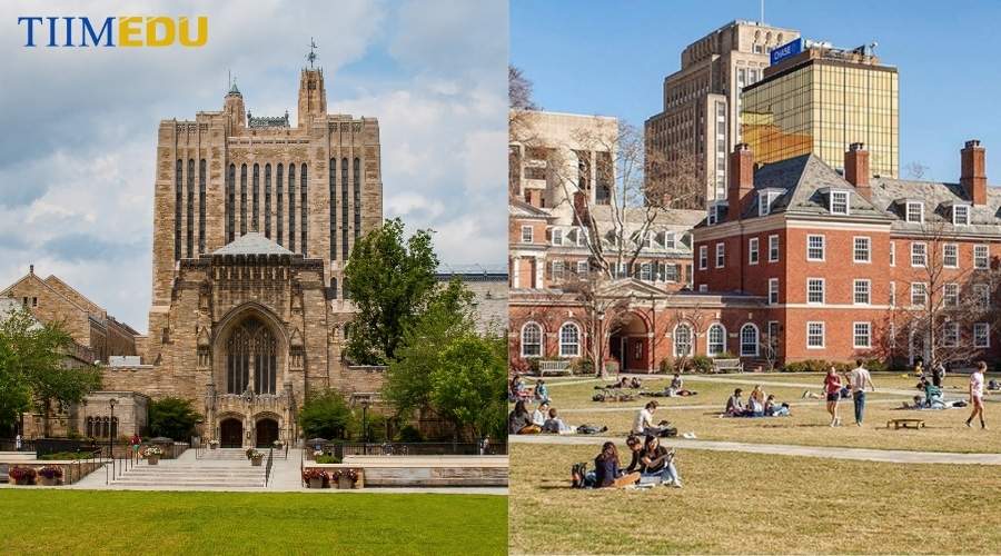 Du học Mỹ trường Đại học Yale