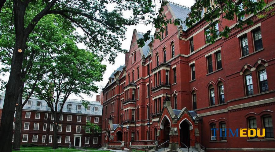 Cơ sở vật chất trường đại học Harvard