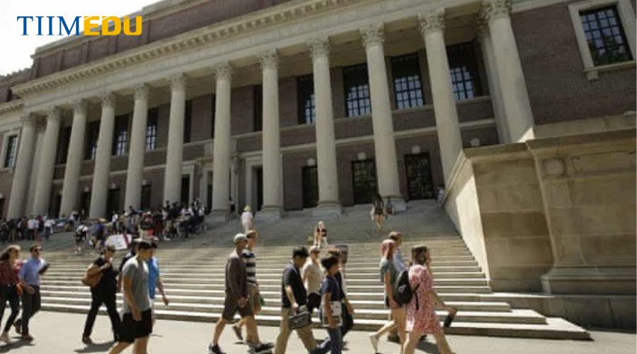 Cơ hội việc làm sau tốt nghiệp trường đại học Harvard