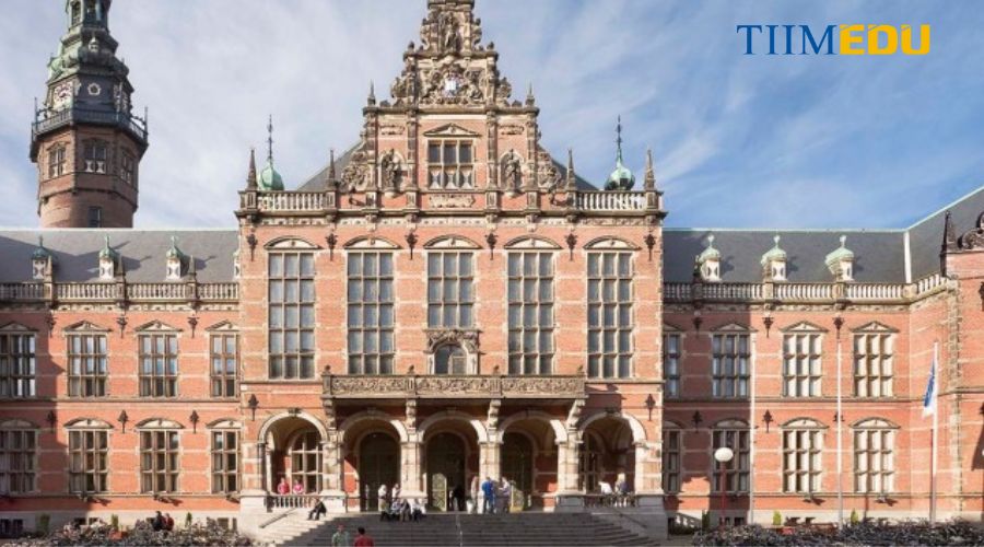 Du học Hà Lan ngành luật trường đại học The Hague 