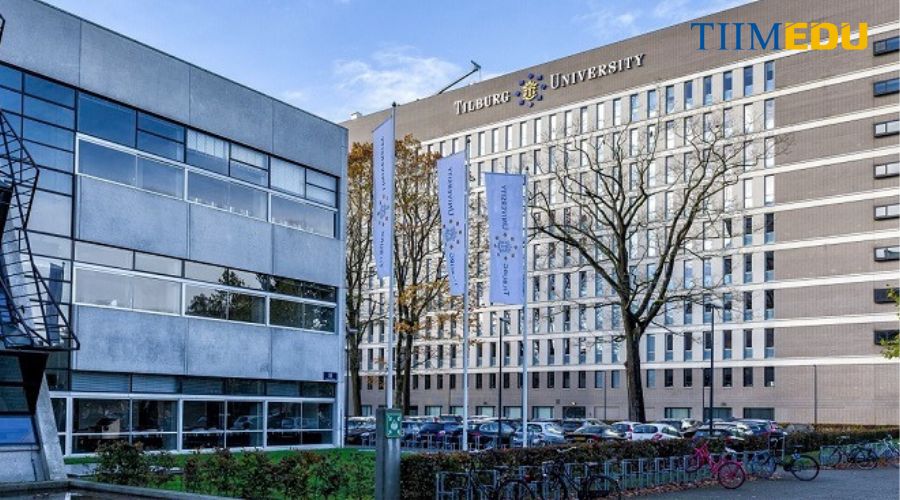 Du học Hà Lan ngành luật Trường đại học Tilburg 