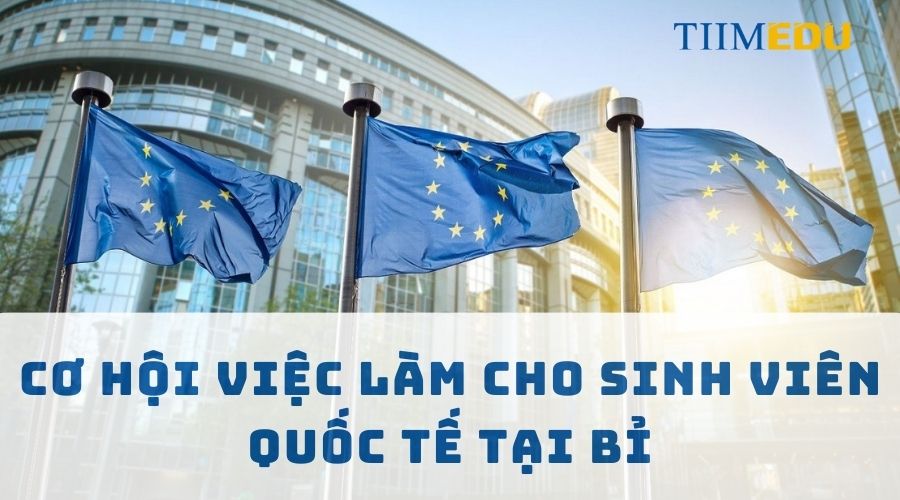 Cơ hội việc làm cho sinh viên quốc tế tại Bỉ