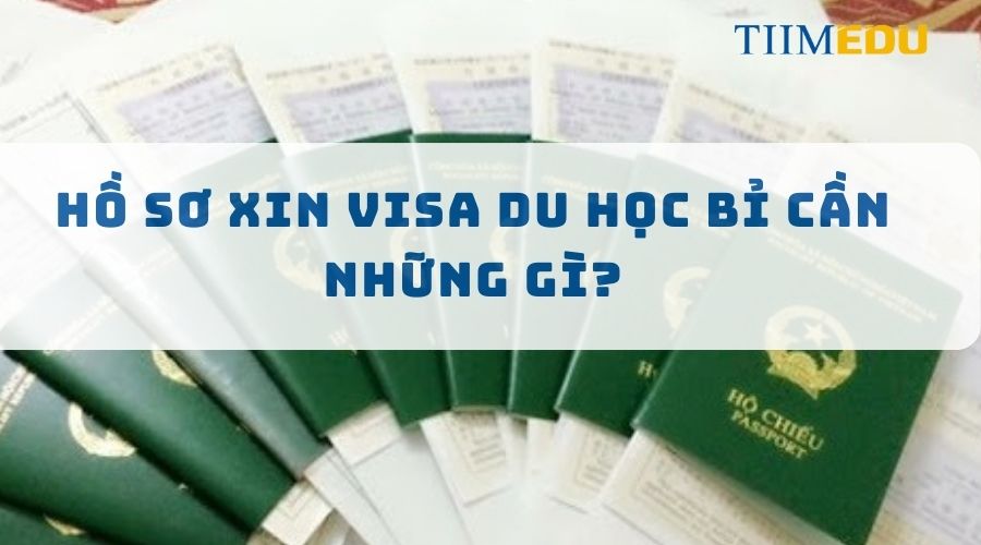 Hồ sơ xin visa du học Bỉ cần những gì?