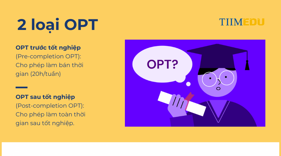 Các loại chương trình OPT