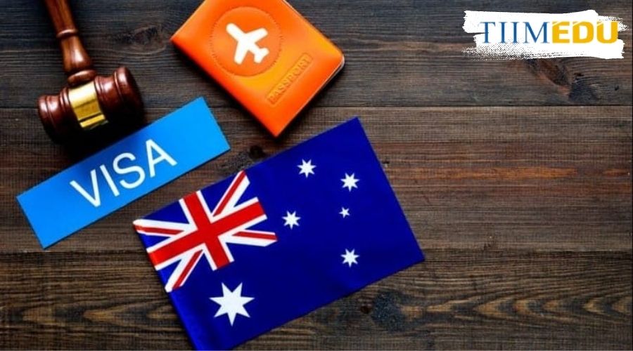 Quyền lợi của visa 462 là gì?