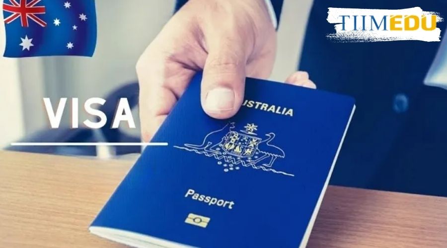 Visa 462 là gì?