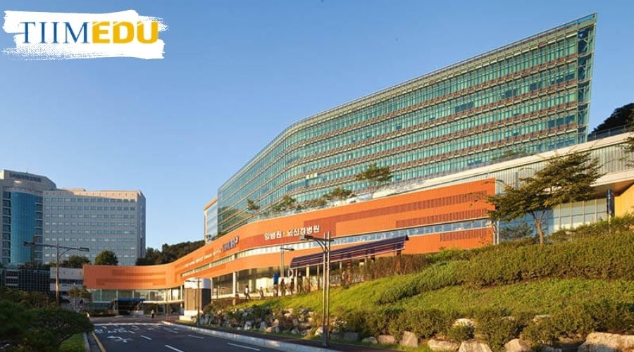 Du học tiếng hàn tại đại học quốc gia Seoul