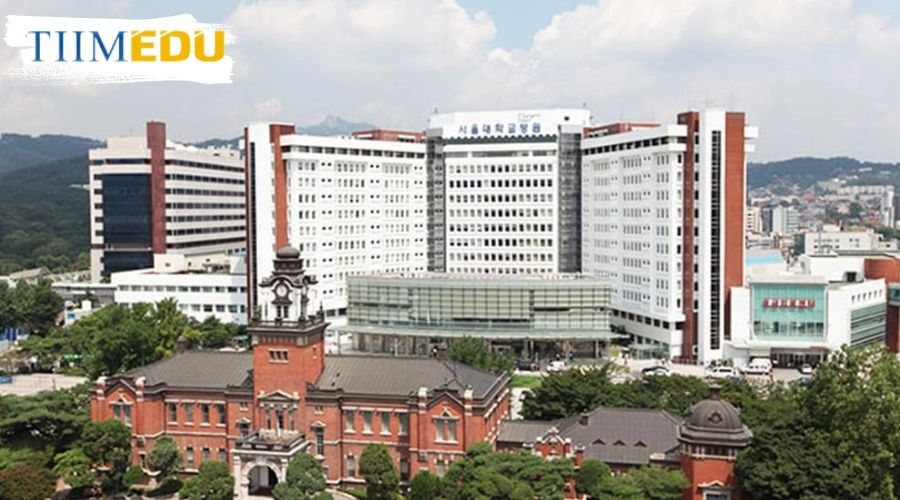 Tổng quan về Đại học quốc gia Seoul