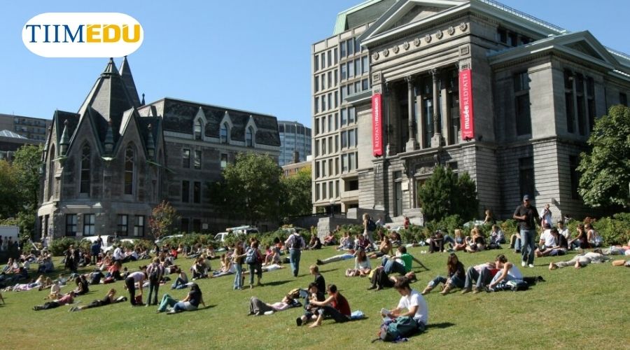  McGill là một trong những trường Đại học top đầu tại Canada