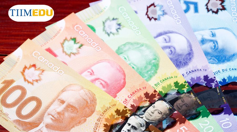  Để định cư ở Canada, bạn cần chuẩn bị tài chính tối thiểu 20,000 CAD