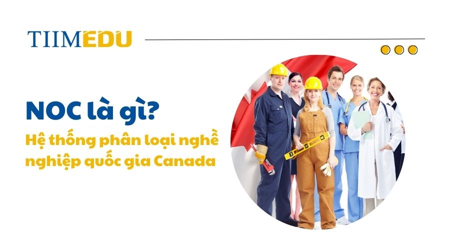  NOC (National Occupational Classification) vô cùng quan trọng trong các chương trình định cư Canada diện tay nghề