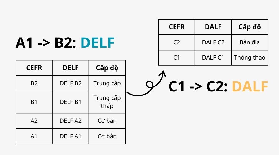 DELF rồi đến DALF