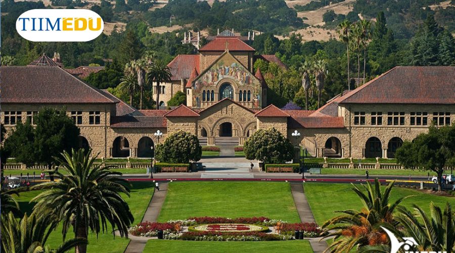 Top 10 trường đại học tốt nhất thế giới có tên Đại học Stanford, Hoa Kỳ