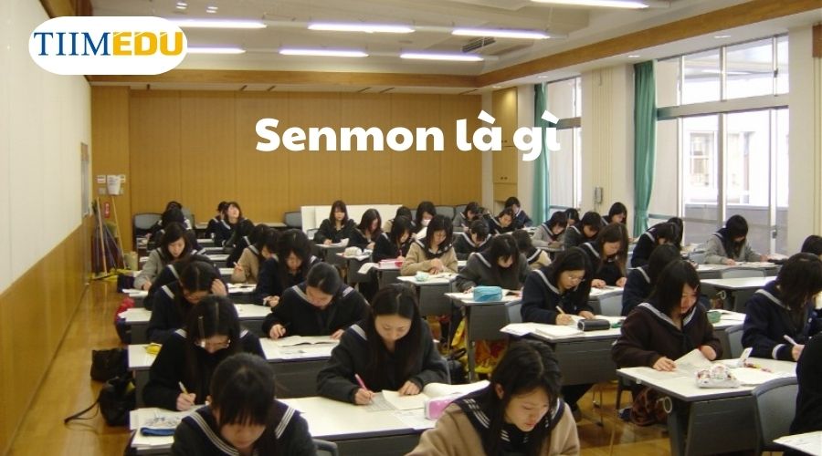  Senmon là một hệ thống giáo dục chuyên môn tại Nhật Bản