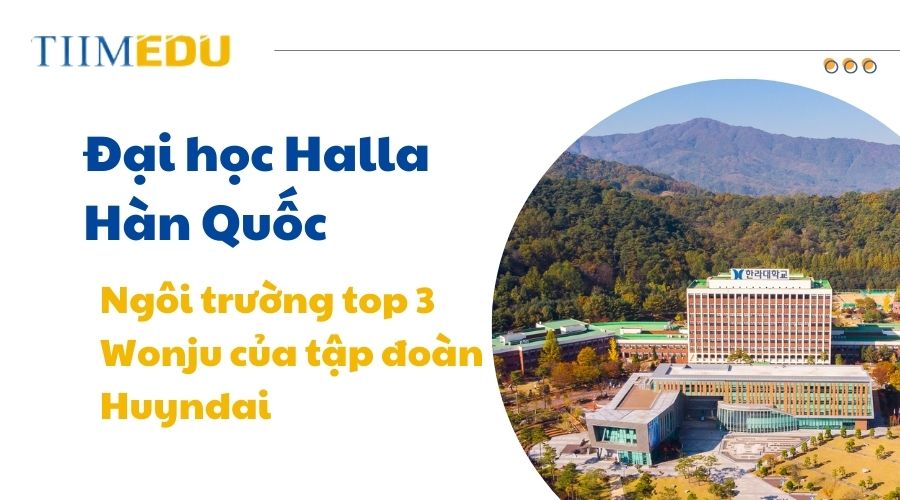 Tìm hiểu về đại học Hallaa